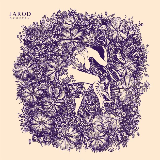 jarod-drosera